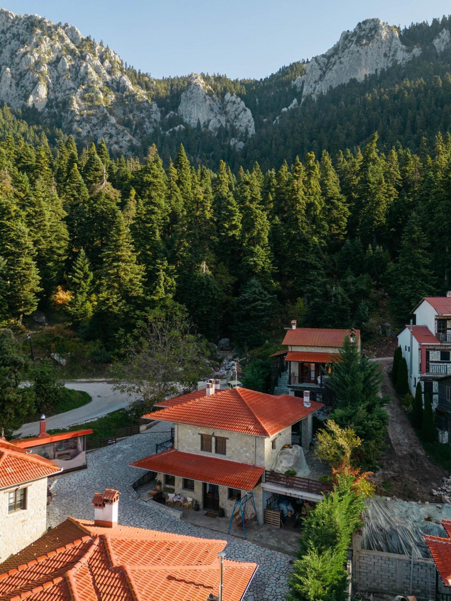 Τα Πέτρινα Της Ελάτης - Petrina Elatis Villa Exterior photo